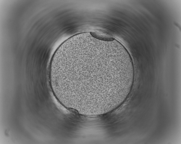 X0000102801152200809081106