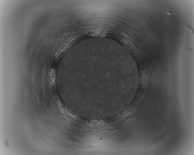 X0000102801154200809081106