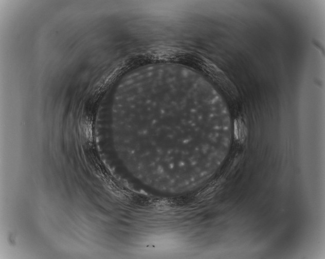 X0000102801155200809081106