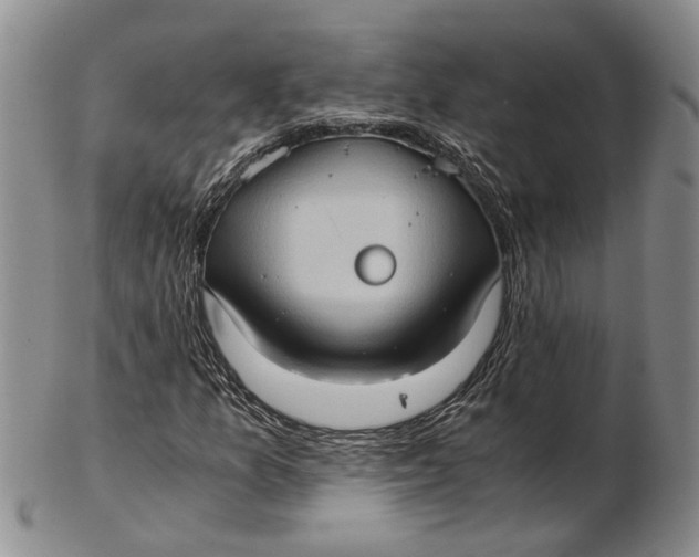 X0000102801157200809081106