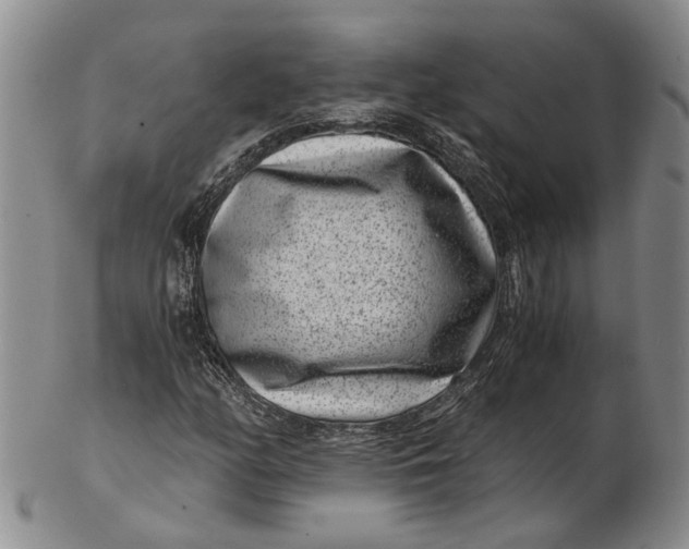 X0000102801158200809081106