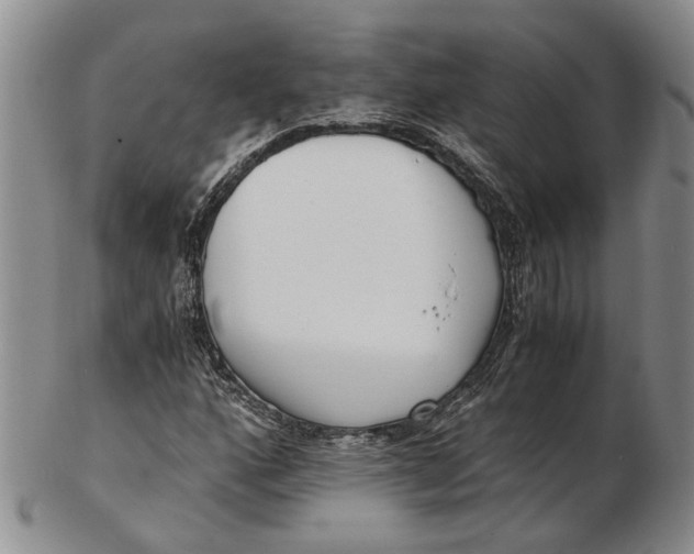 X0000102801160200809081106