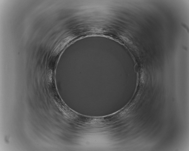 X0000102801161200809081106