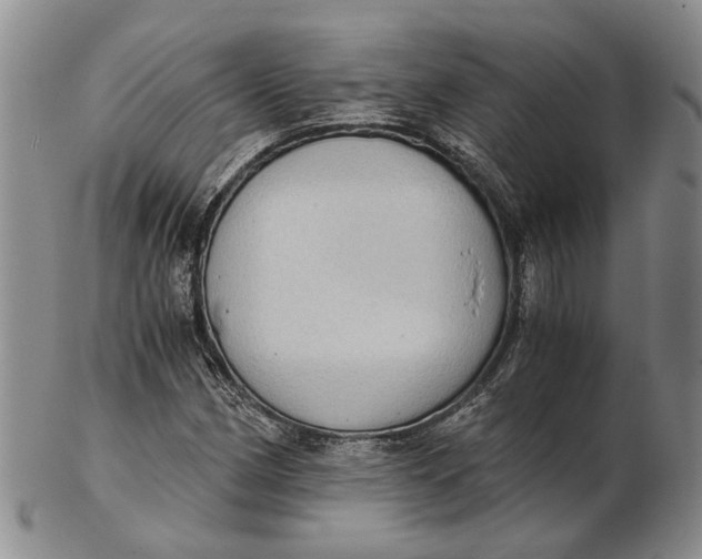 X0000102801162200809081106