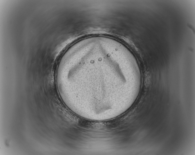 X0000102801167200809081106