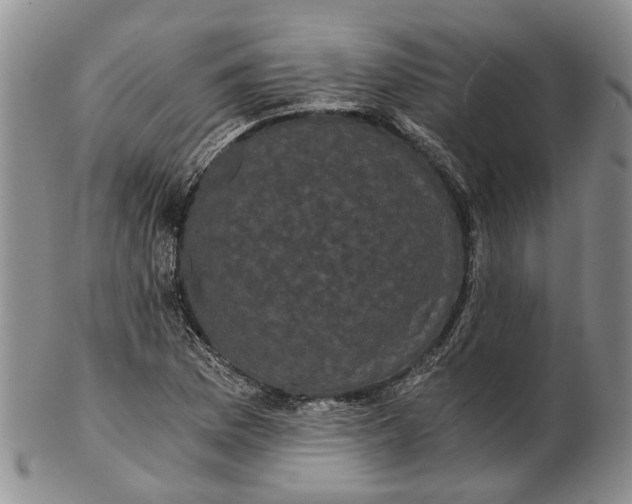 X0000102801169200809081106