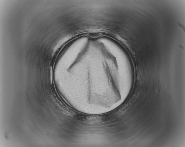 X0000102801171200809081106