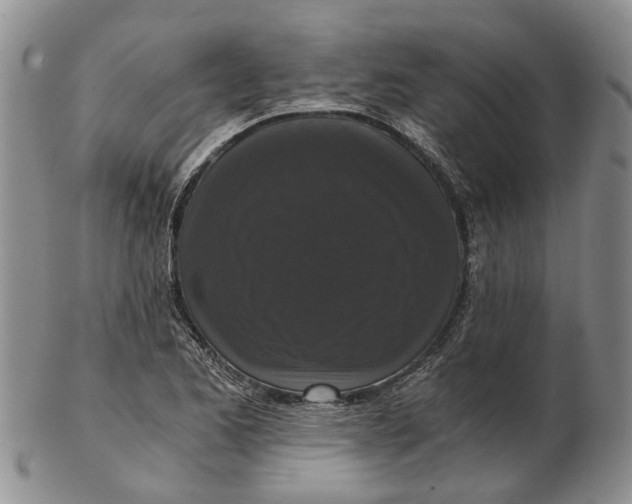 X0000102801173200809081105