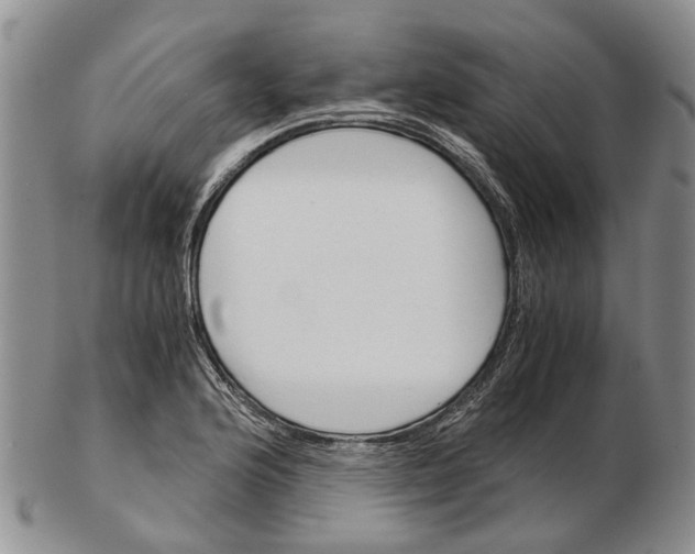 X0000102801176200809081105