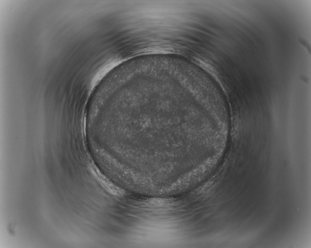 X0000102801179200809081105