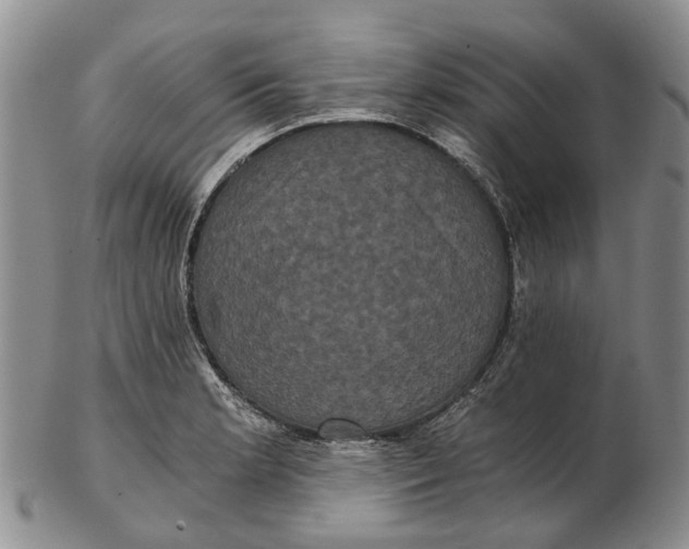 X0000102801181200809081105