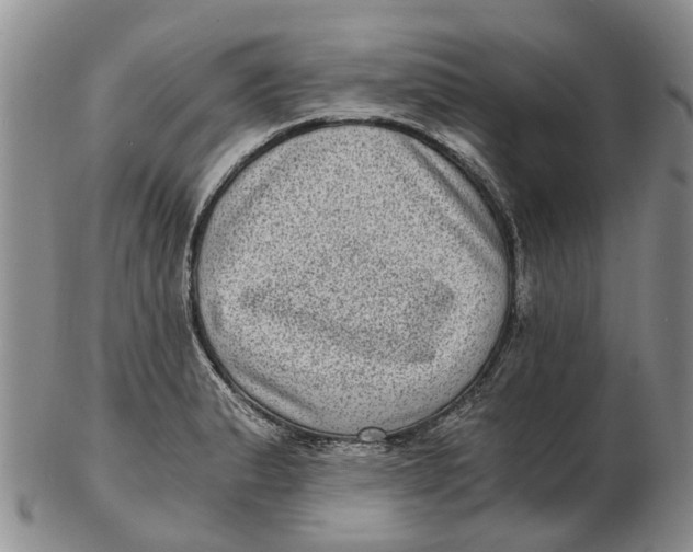 X0000102801183200809081105