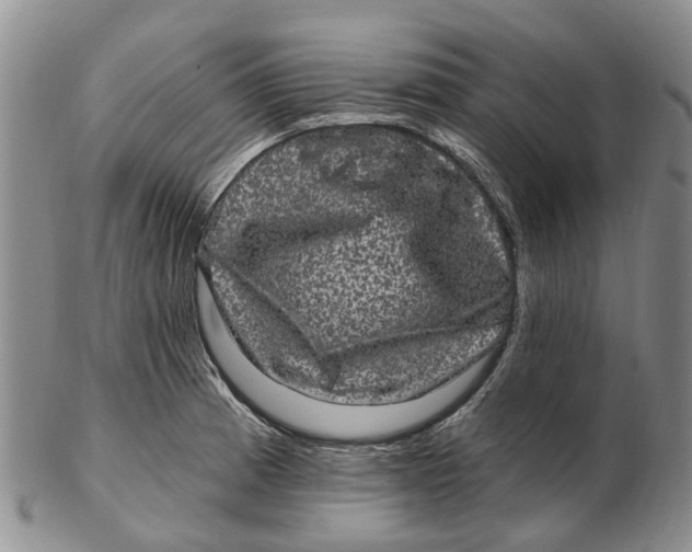 X0000102801185200809081105