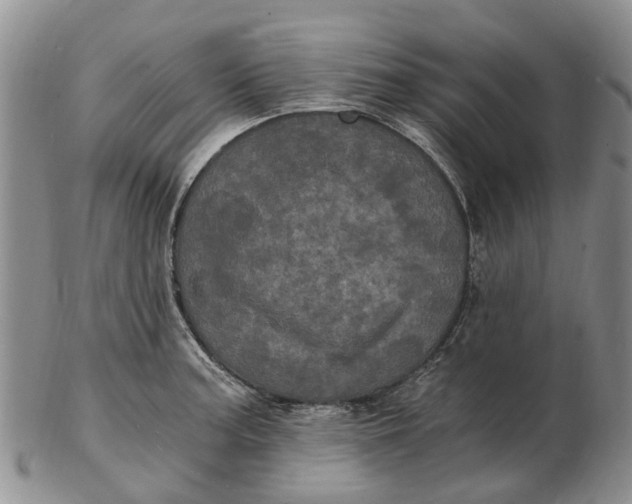 X0000102801187200809081105