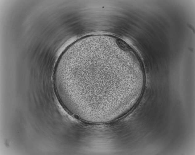 X0000102801189200809081105