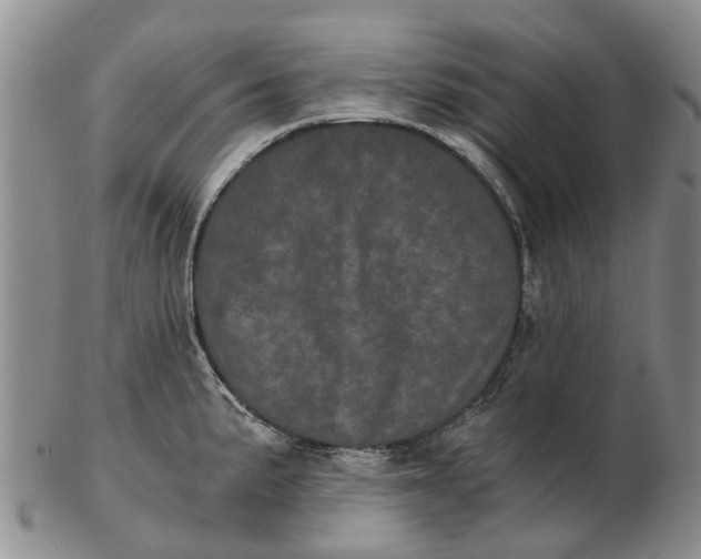 X0000102801191200809081105