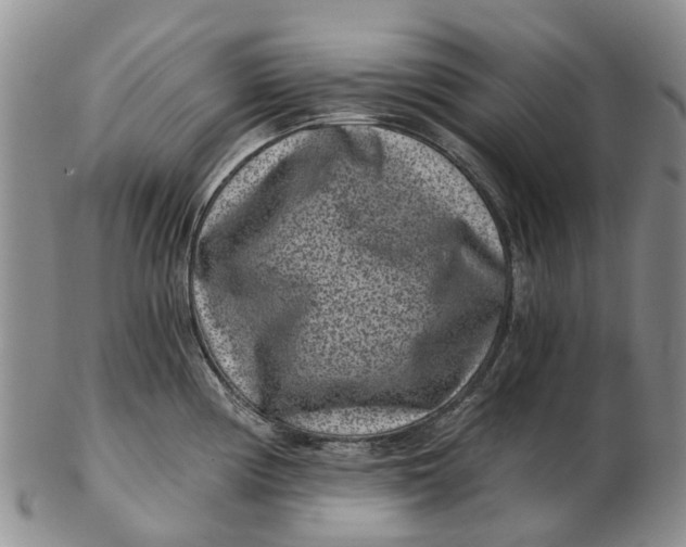 X0000102801194200809081105