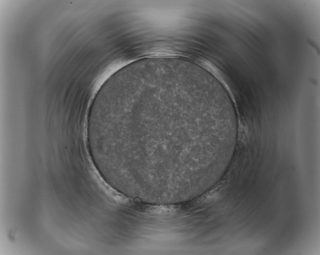 X0000102801195200809081105