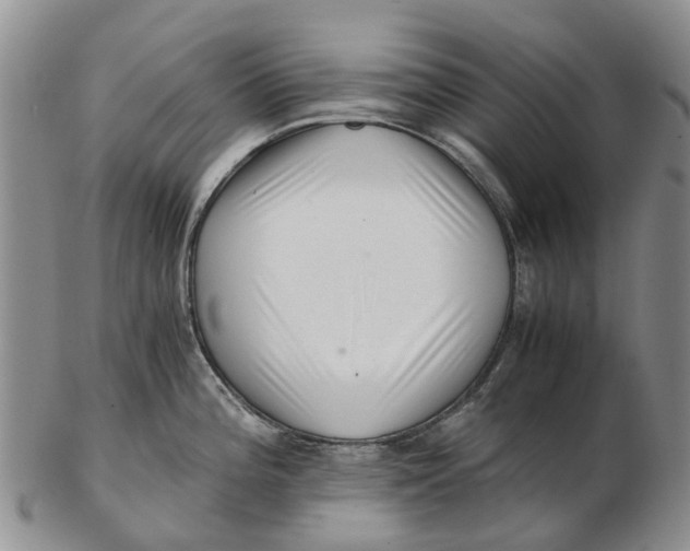 X0000102801196200809081105