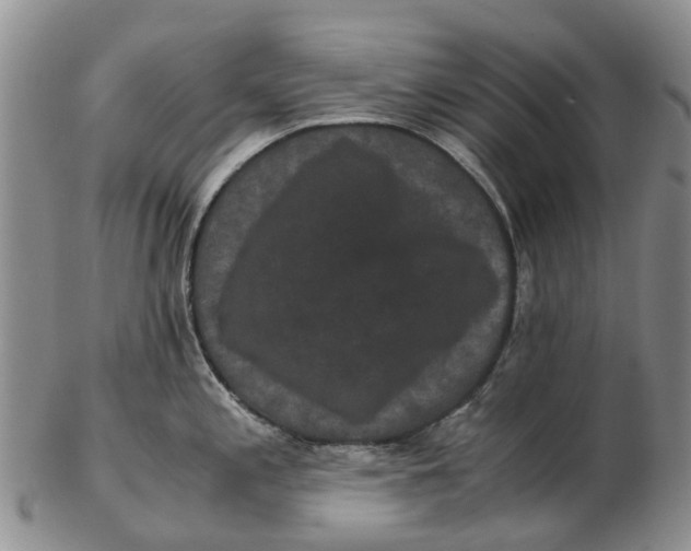 X0000102801197200809081105