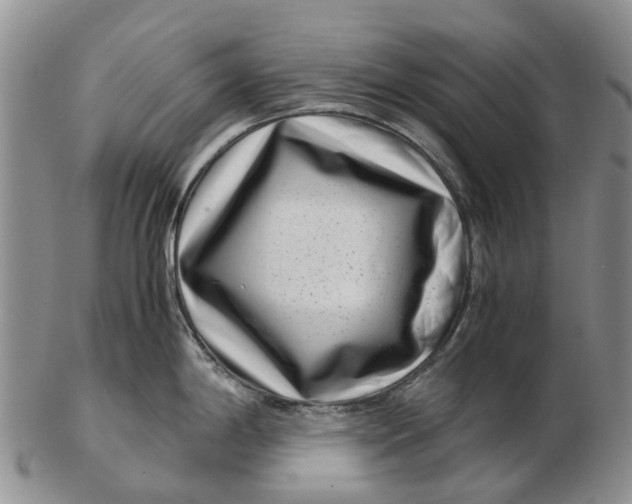 X0000102801198200809081105