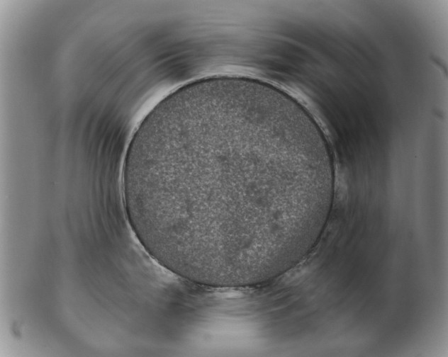 X0000102801199200809081105