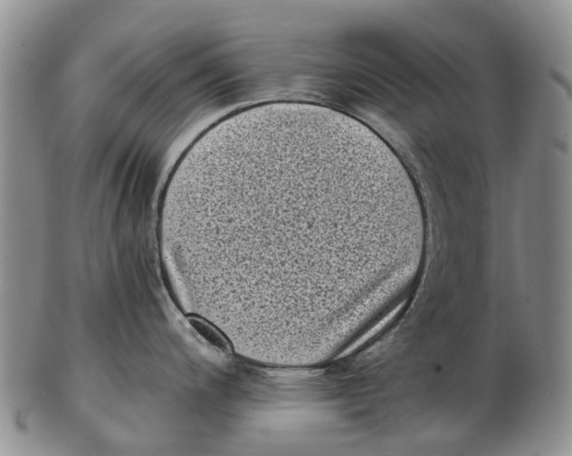 X0000102801200200809081105