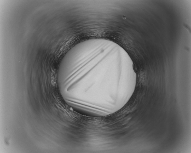 X0000102801202200809081104