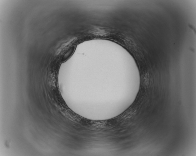 X0000102801205200809081104