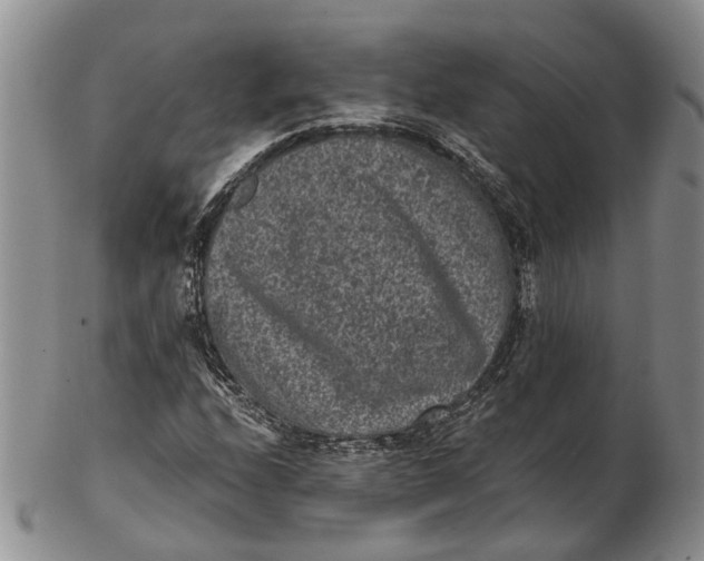 X0000102801208200809081104