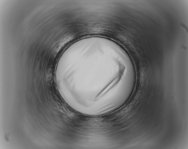 X0000102801210200809081104