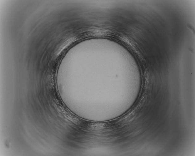 X0000102801211200809081104