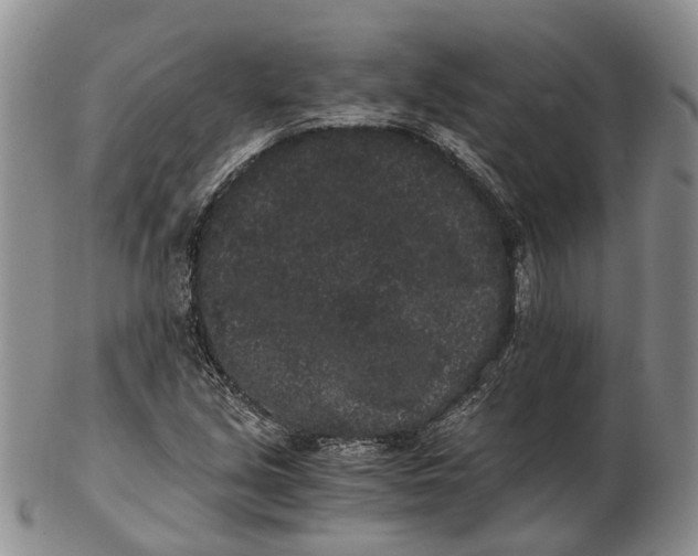 X0000102801213200809081105