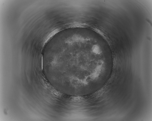 X0000102801219200809081105