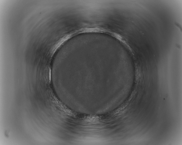 X0000102801221200809081105