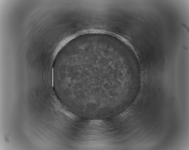 X0000102801223200809081105