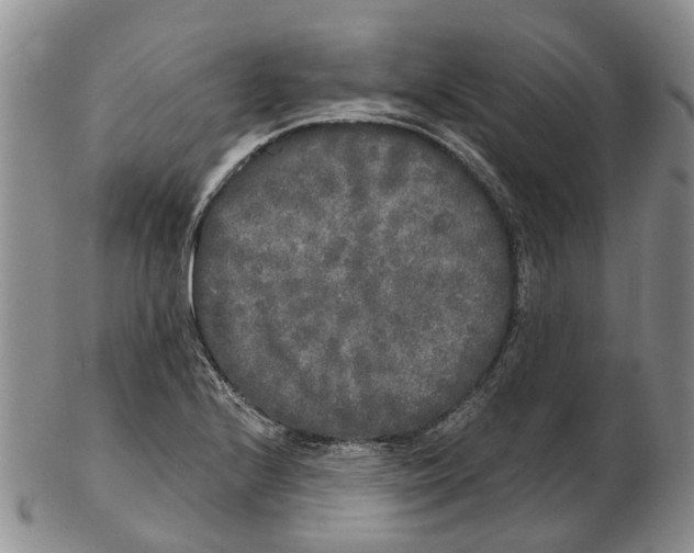 X0000102801224200809081105