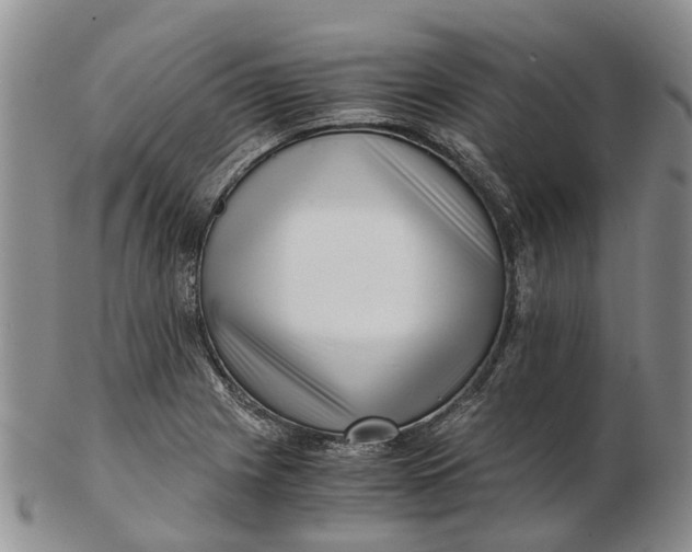 X0000102801225200809081105