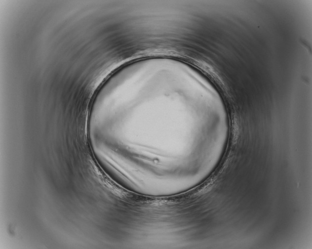 X0000102801228200809081105