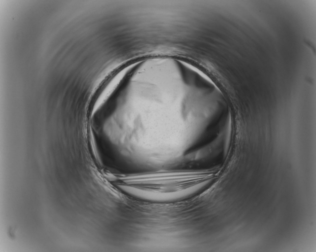 X0000102801232200809081105