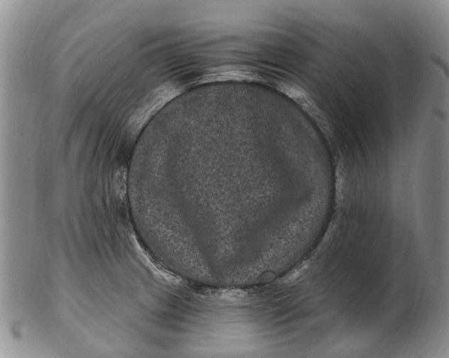 X0000102801233200809081105