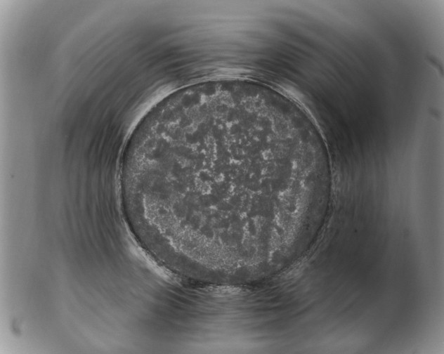 X0000102801235200809081105