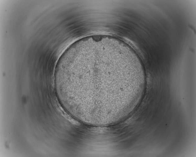 X0000102801236200809081105