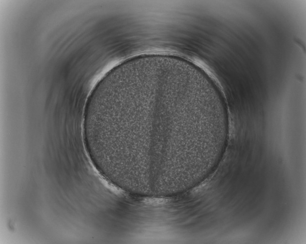 X0000102801237200809081105