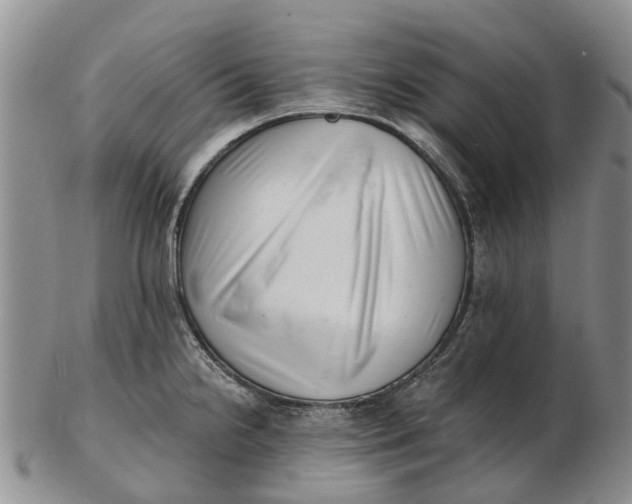 X0000102801238200809081105