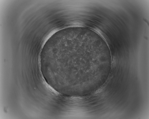 X0000102801243200809081105