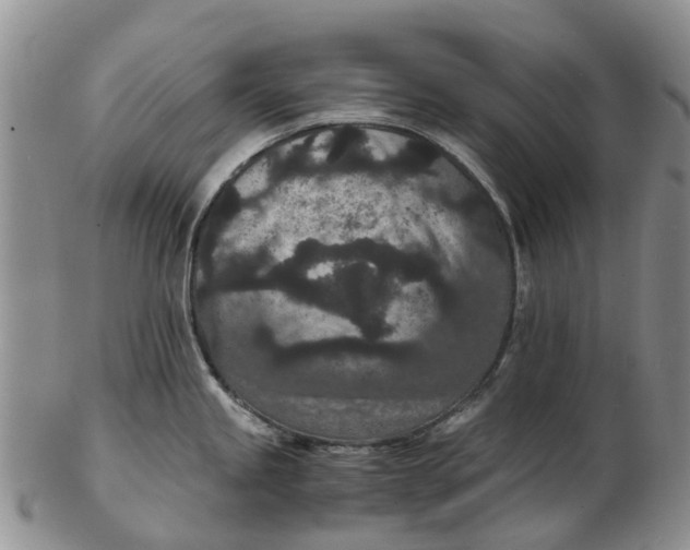 X0000102801245200809081105