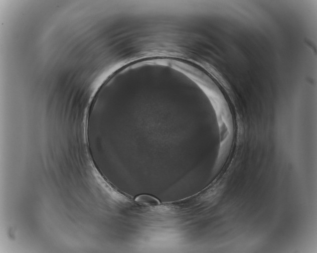 X0000102801246200809081105