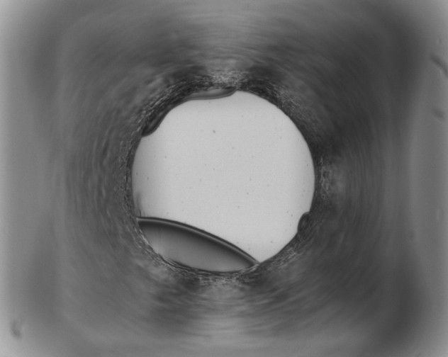 X0000102801249200809081104