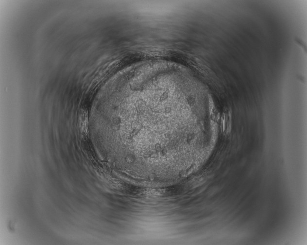 X0000102801251200809081104